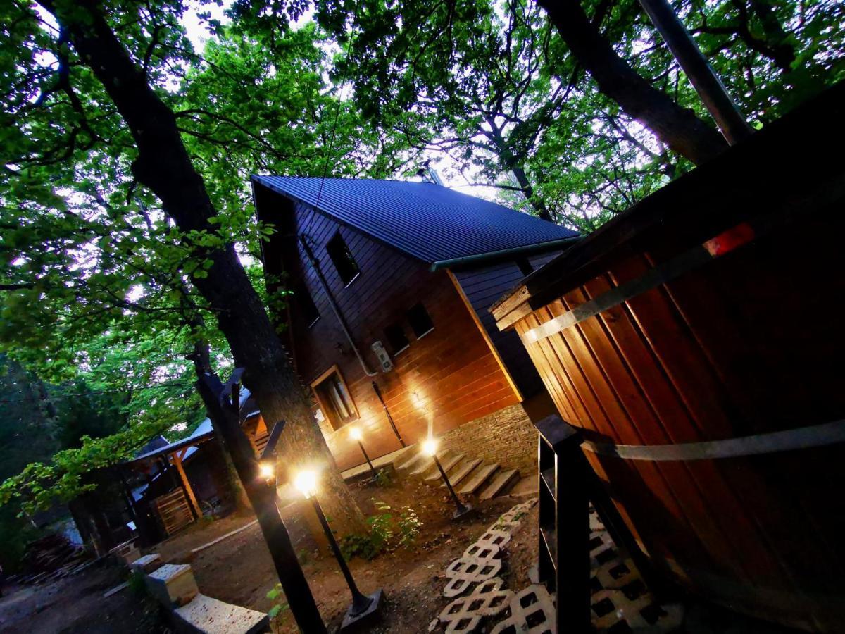 Apartamento Toelgyes Menedek Noszvaj Exterior foto